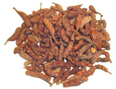 BEJERECUM (PACOTINHO)